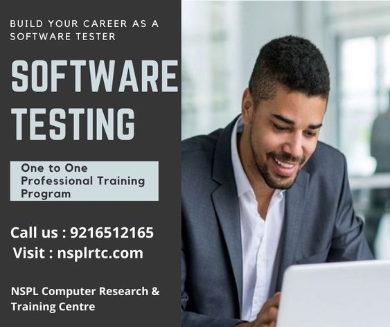 Professional Software Testing Program